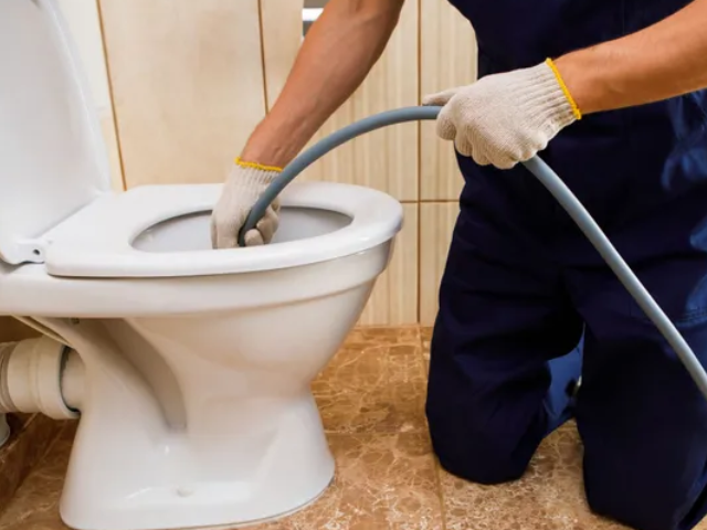 dhe-debouchage dego wc